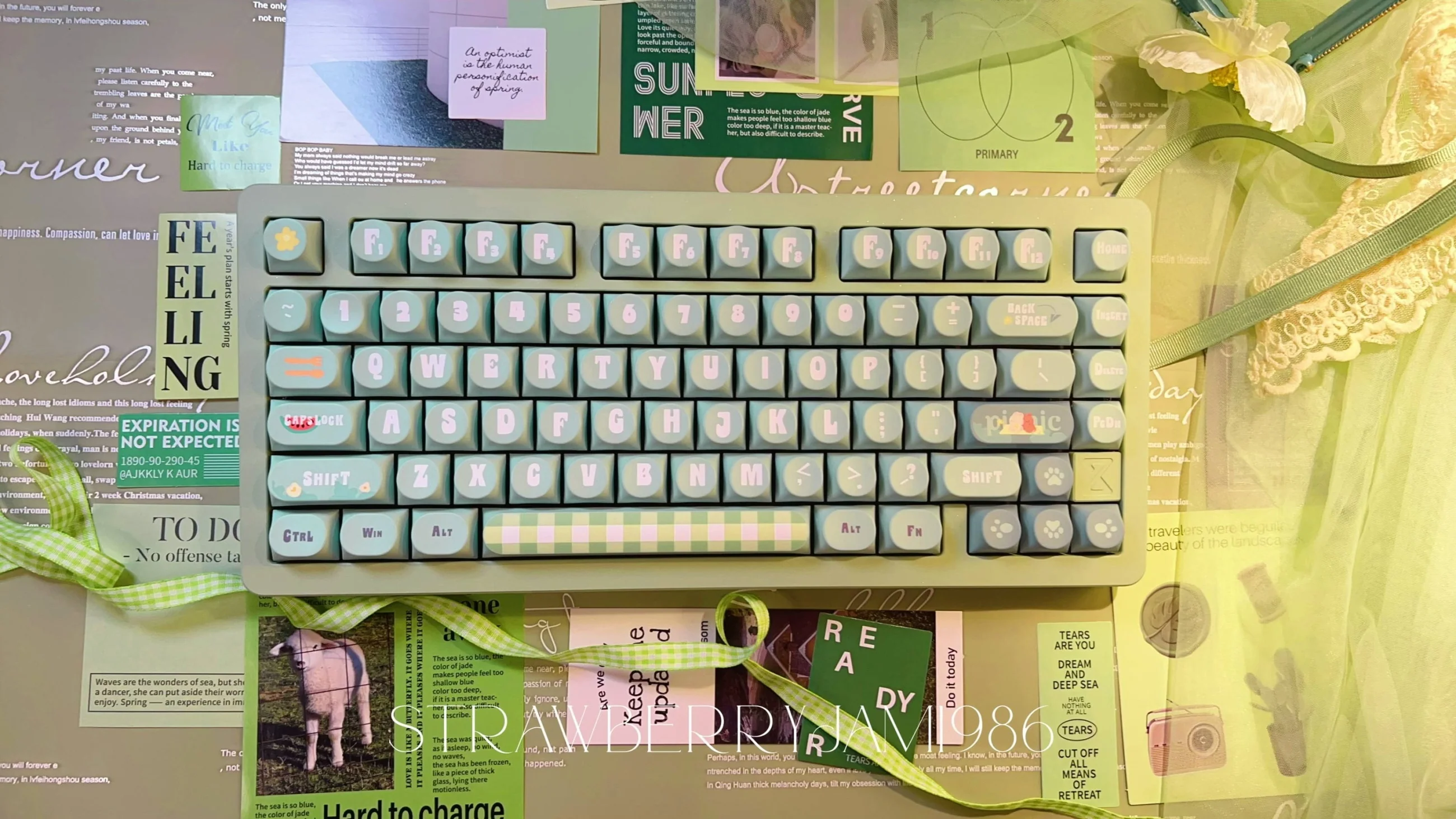 Chilkey Summer Picnic 170 Key DDA Profile Dye Sub PBT Keycap Set - Image 13