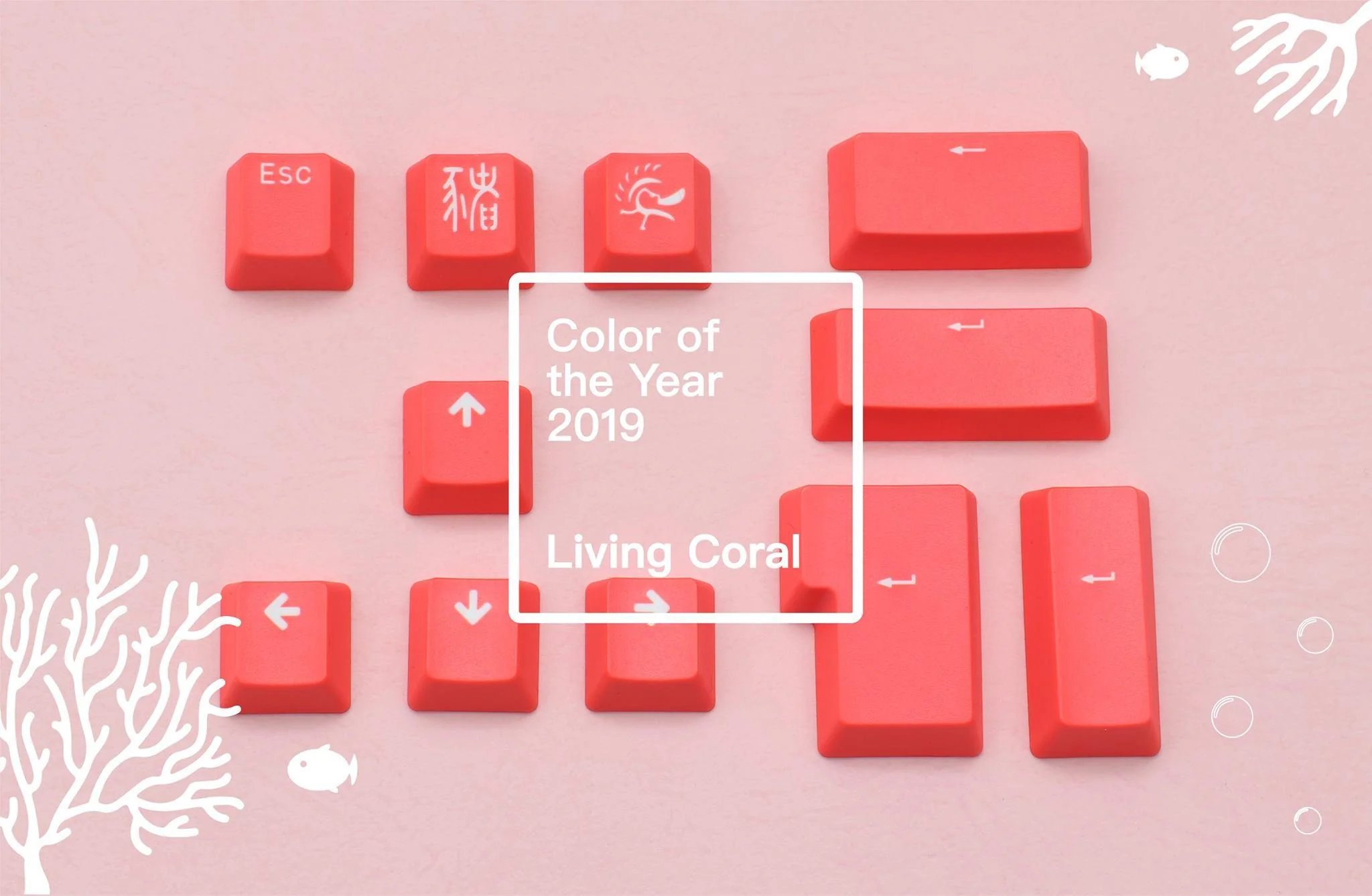 Ducky 11 Key Double Shot PBT Keycap Set - Image 5
