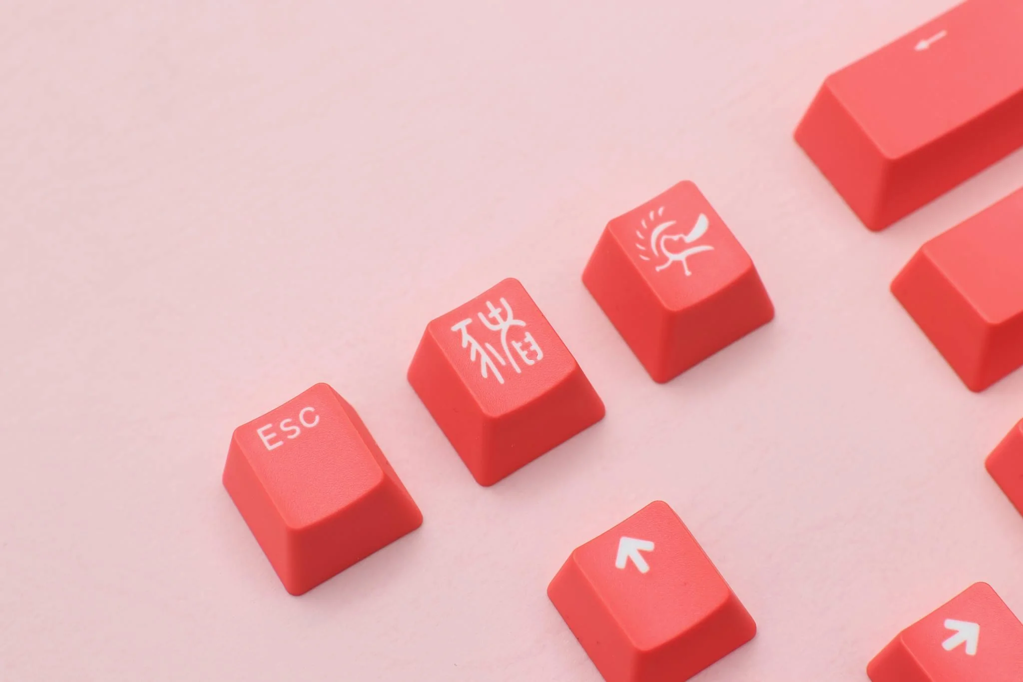Ducky 11 Key Double Shot PBT Keycap Set - Image 7