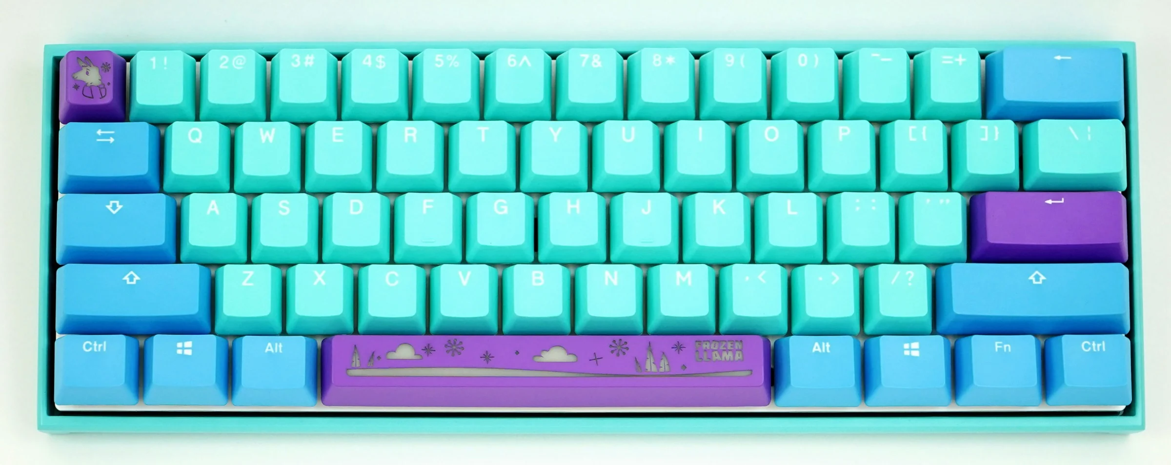 Ducky x MK Frozen Llama Mecha Mini v2 RGB LED 60% Double Shot PBT Mechanical Keyboard - Image 14