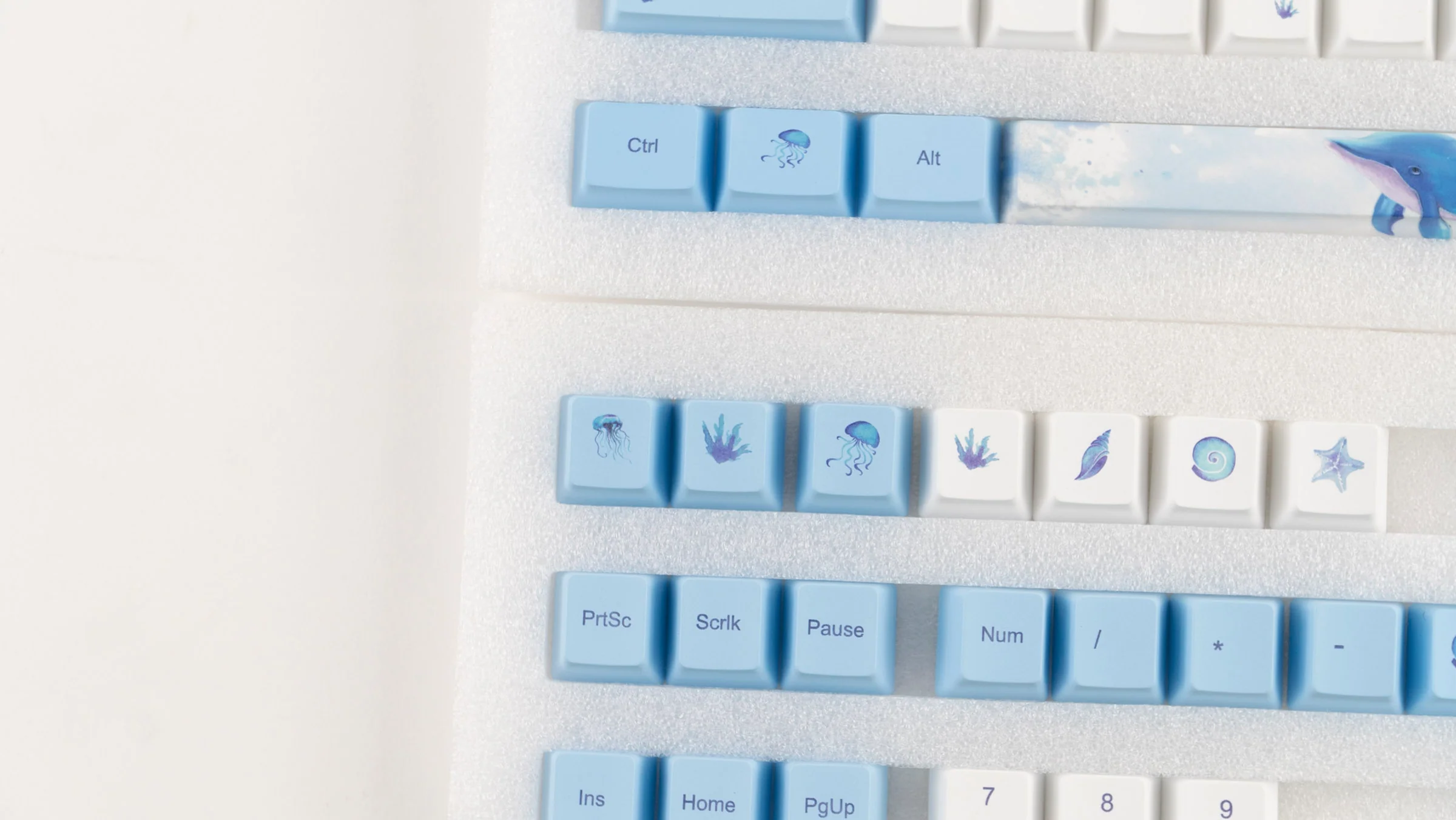 KBParadise Dolphin 113 Key OEM Profile Dye Sub PBT Keycap Set - Image 3