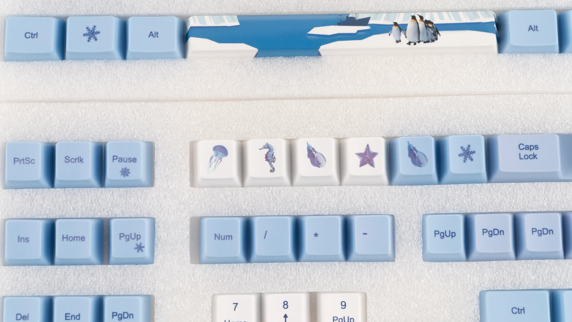 KBParadise Penguin 113 Key OEM Profile Dye Sub PBT Keycap Set - Image 6