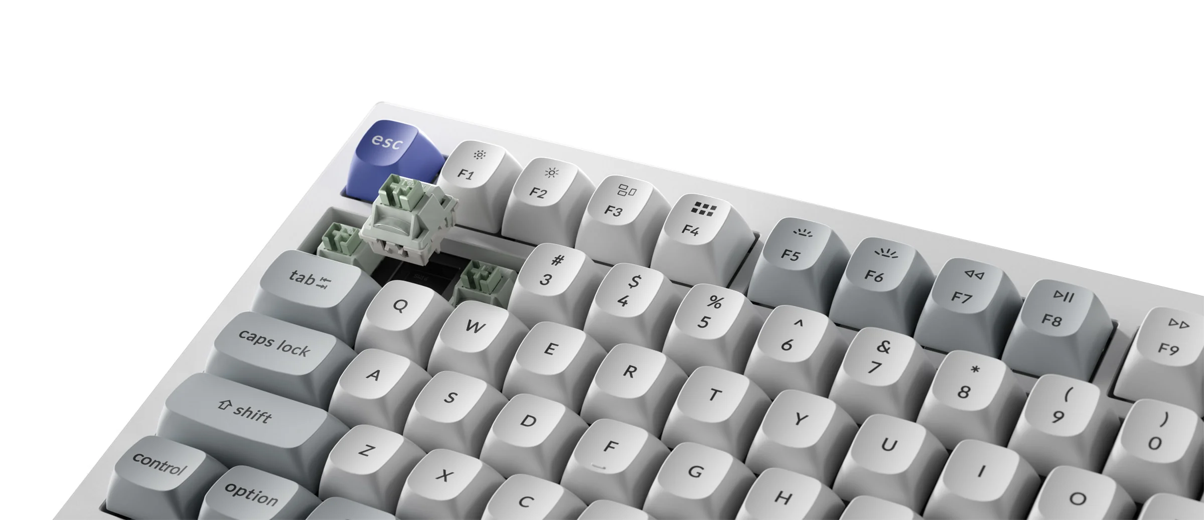 Keychron Q1 HE TMR 8K Aluminum 75% Hotswap RGB Keyboard - Image 18