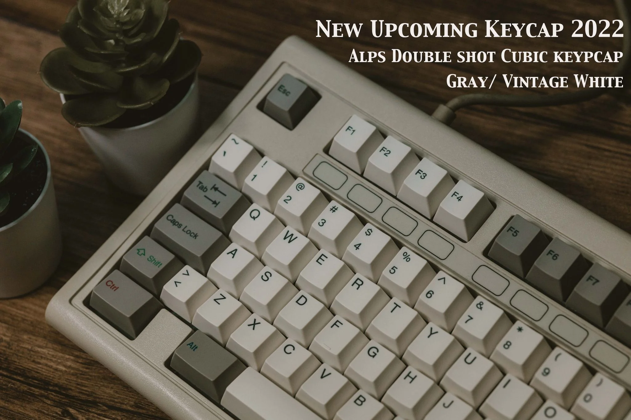 Tai-Hao Vintage White / Grey Backlit 138 Key Cubic Profile ABS Double Shot ALPS Keycap Set - Image 4